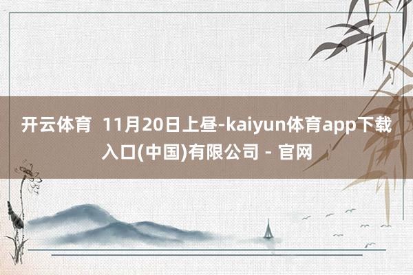 开云体育  11月20日上昼-kaiyun体育app下载入口(中国)有限公司 - 官网