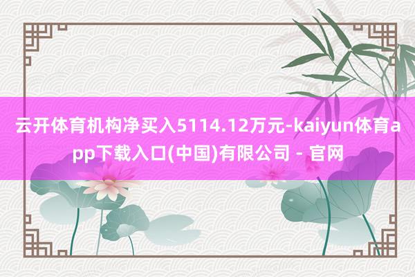 云开体育机构净买入5114.12万元-kaiyun体育app下载入口(中国)有限公司 - 官网
